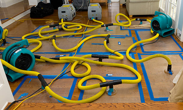 Professional Structural Drying And Dehumidification technician working in Louise, TX